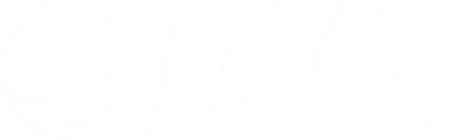 DVS Shoes